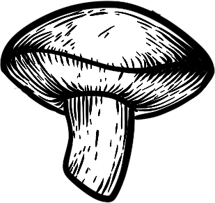 Ella dish